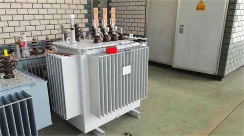 邵阳S11-100KVA/10KV/0.4KV油浸式变压器